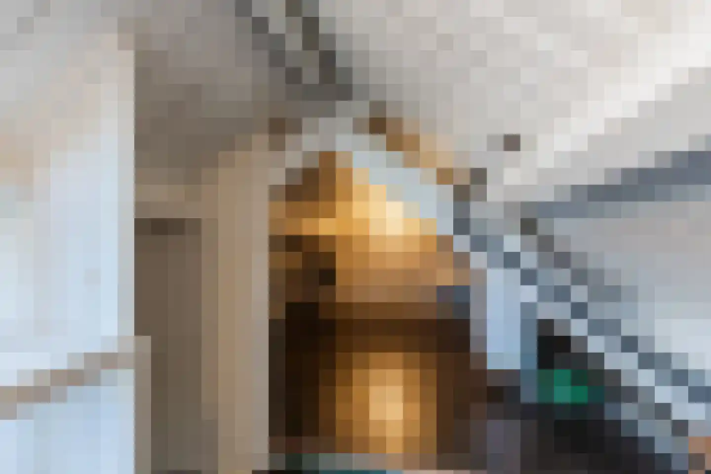 Voorwillenseweg 1 Gouda thumbnail 41