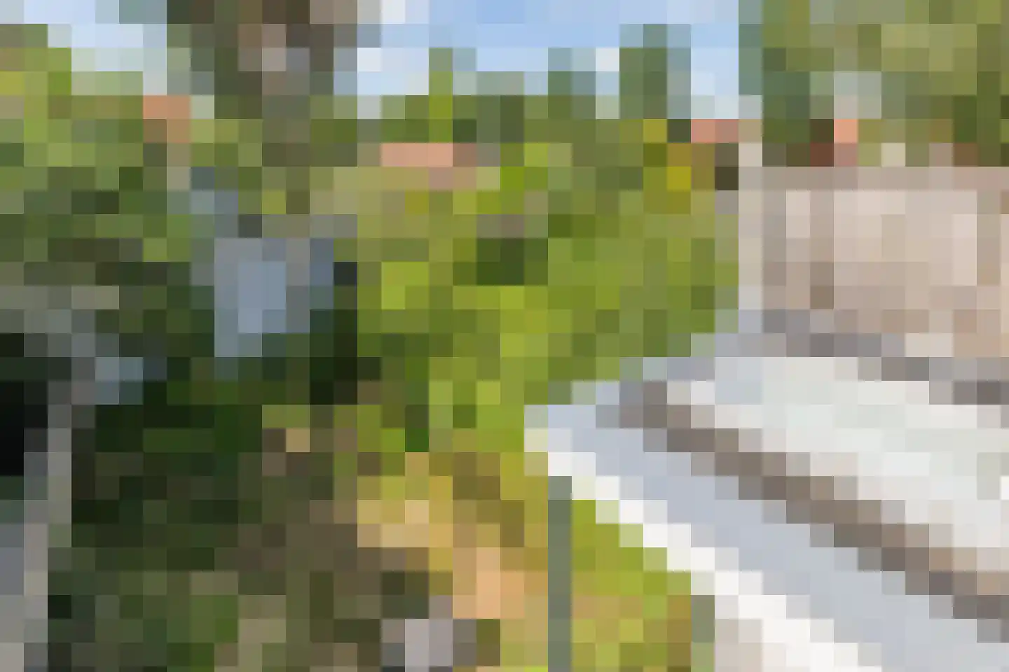 Voorwillenseweg 1 Gouda thumbnail 51