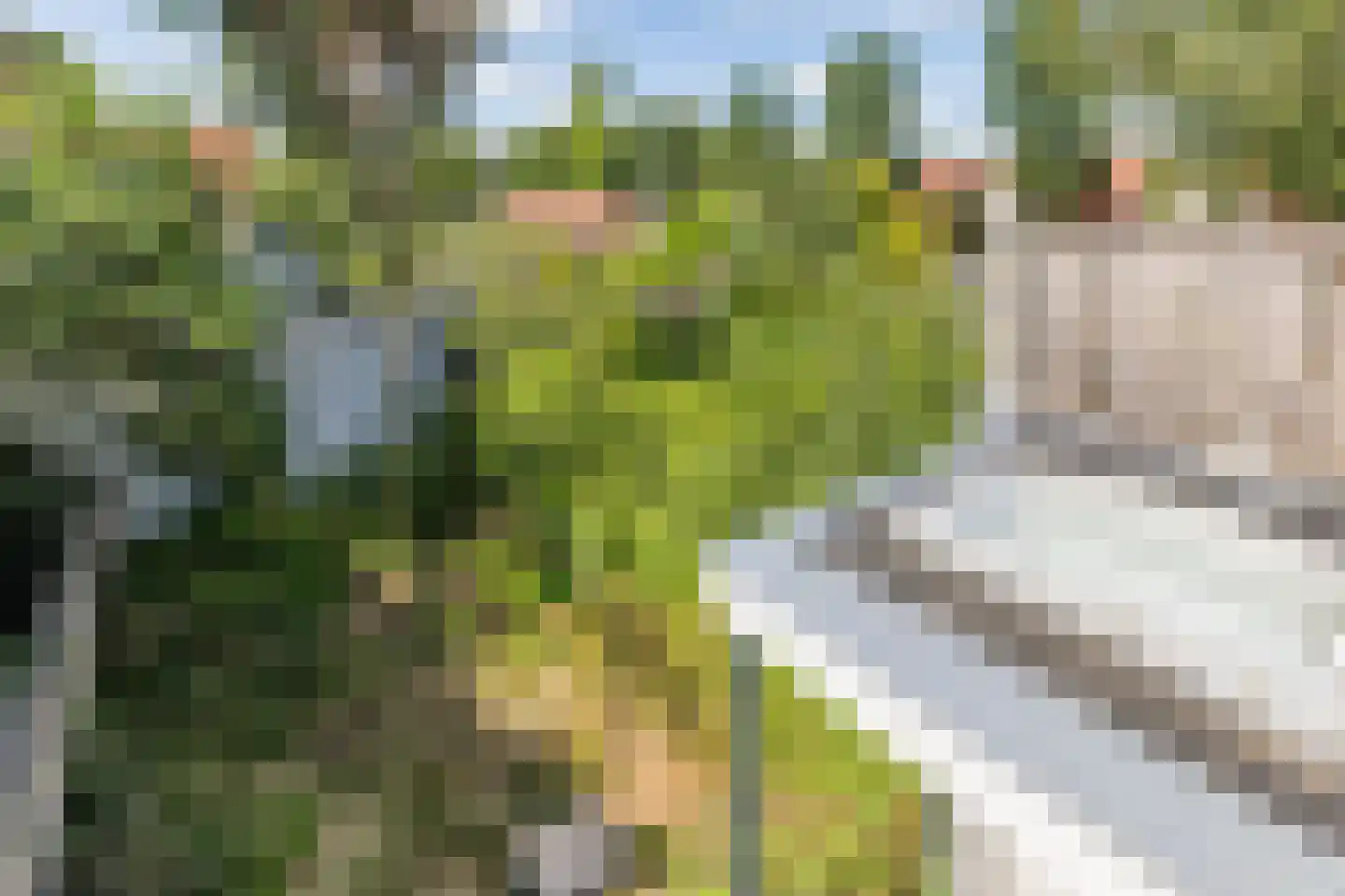 Voorwillenseweg 1 Gouda thumbnail 51