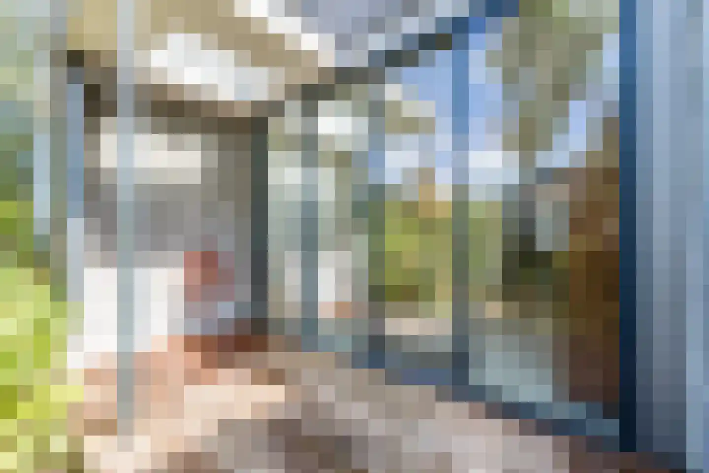 Voorwillenseweg 1 Gouda thumbnail 56