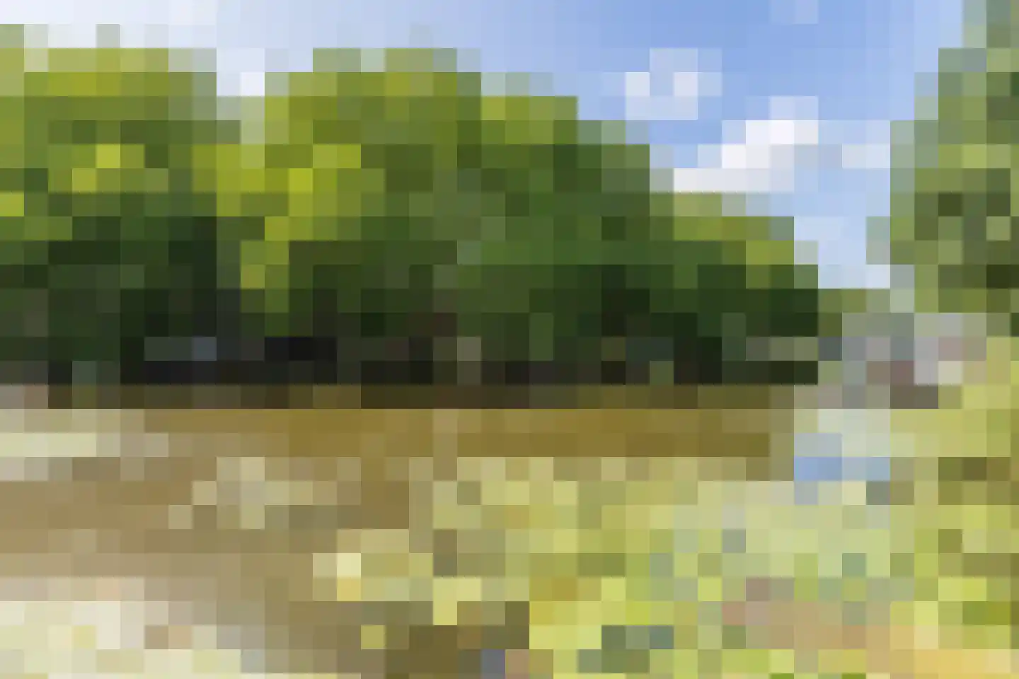 Voorwillenseweg 1 Gouda thumbnail 64