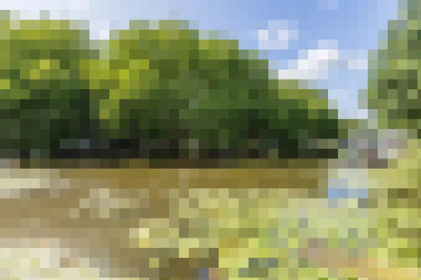 Voorwillenseweg 1 Gouda thumbnail 64