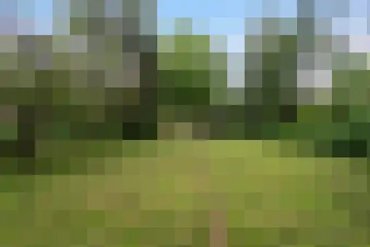 Voorwillenseweg 143 Gouda thumbnail 51
