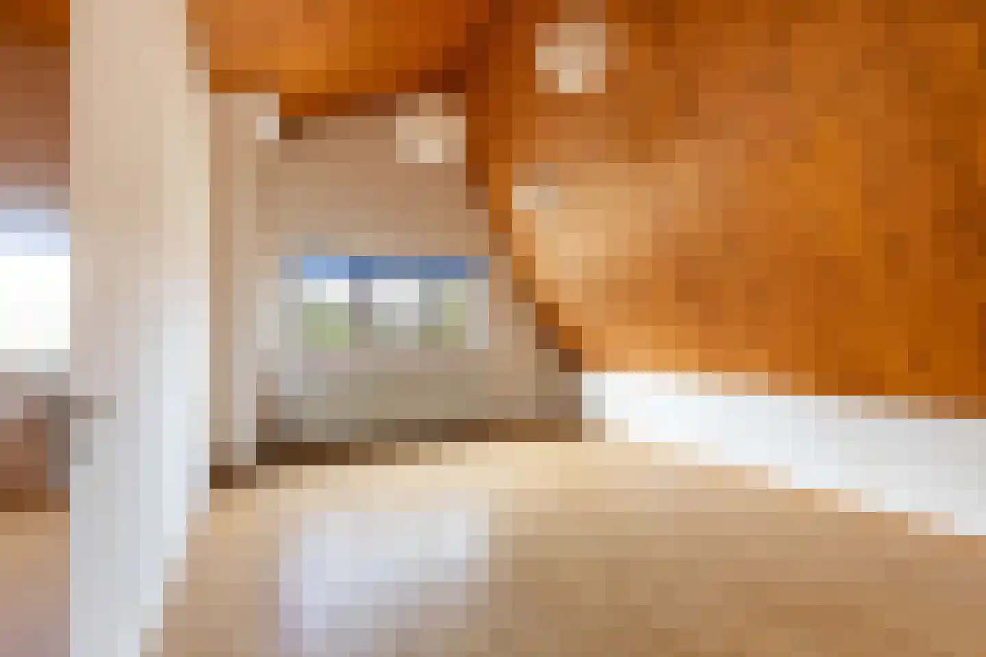 Voorwillenseweg 177 Gouda thumbnail 32