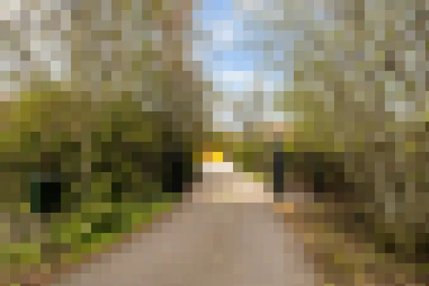 Voorwillenseweg 177 Gouda thumbnail 39