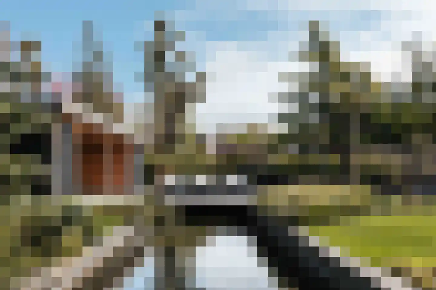 Voorwillenseweg 203 Gouda thumbnail 54