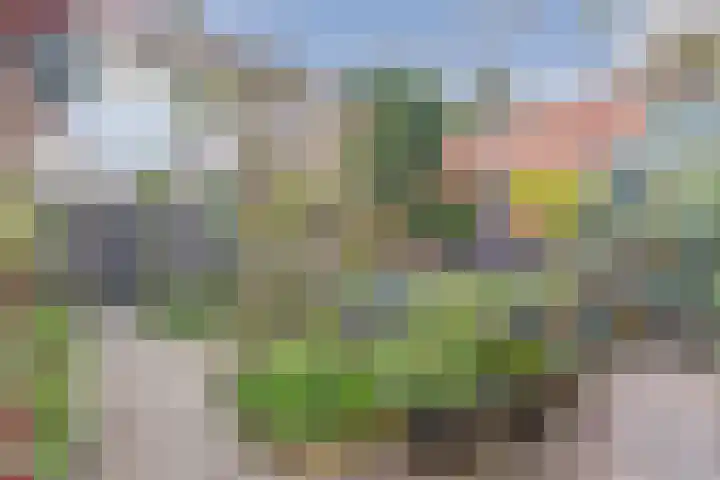 Voorwillenseweg 22 Gouda thumbnail 32