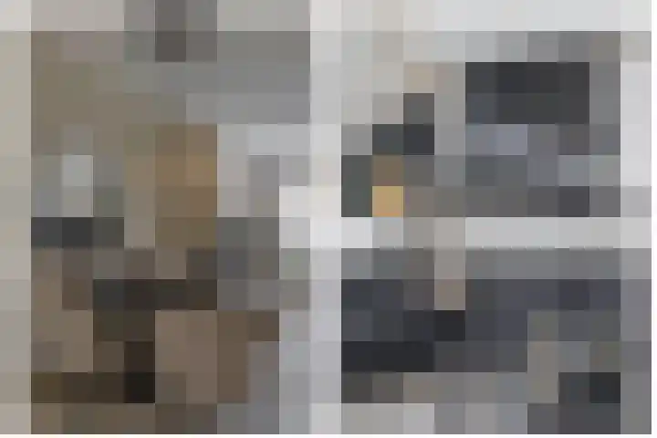 Voorzoom 15 Moerkapelle thumbnail 11