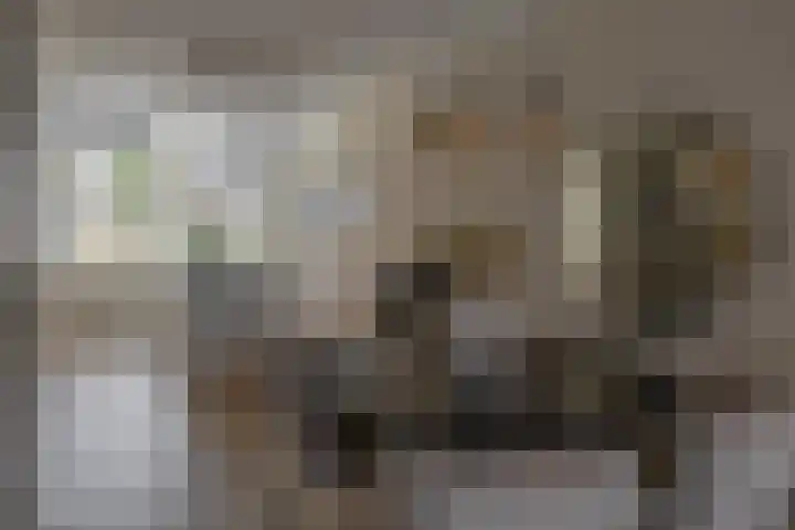 Voorzoom 15 Moerkapelle thumbnail 12