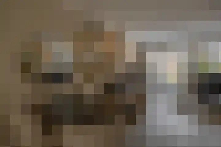 Voorzoom 15 Moerkapelle thumbnail 13