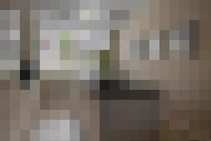 Voorzoom 15 Moerkapelle thumbnail 14