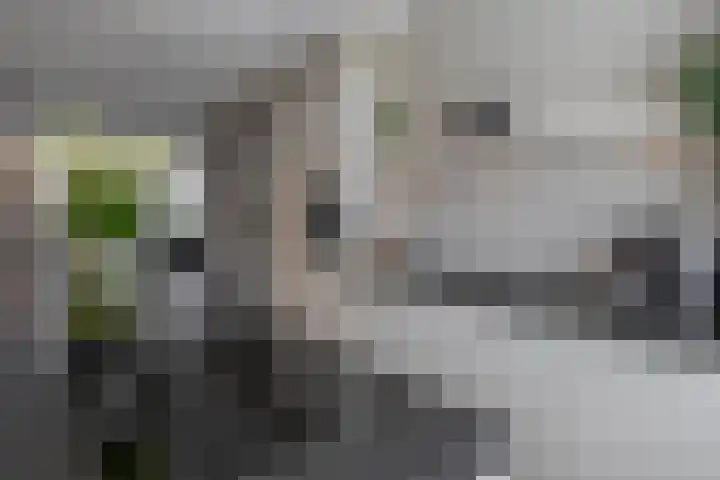 Voorzoom 15 Moerkapelle thumbnail 15