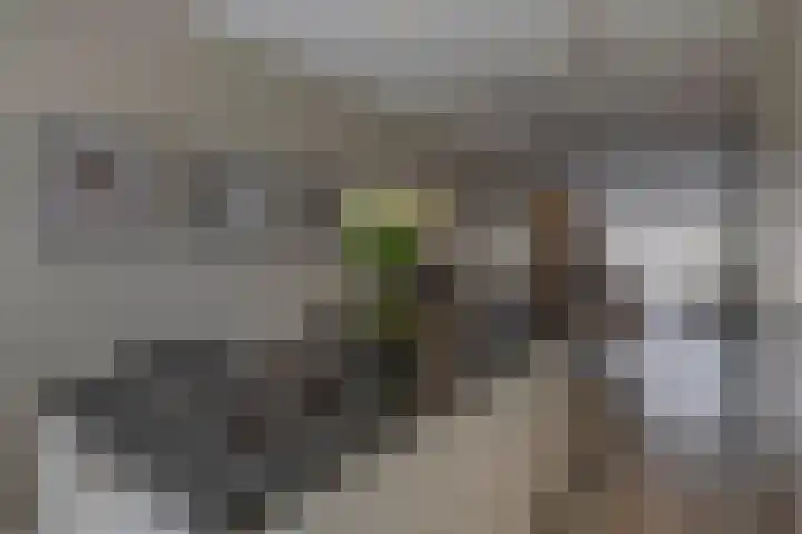 Voorzoom 15 Moerkapelle thumbnail 16
