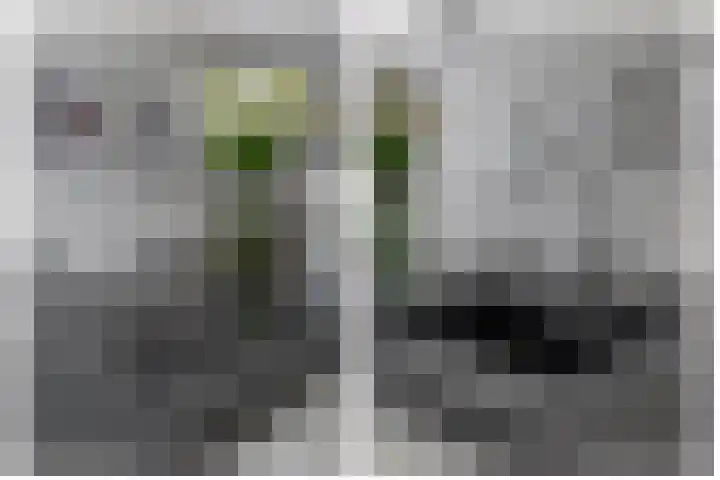 Voorzoom 15 Moerkapelle thumbnail 17