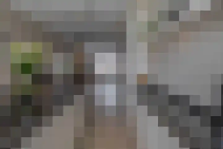 Voorzoom 15 Moerkapelle thumbnail 18