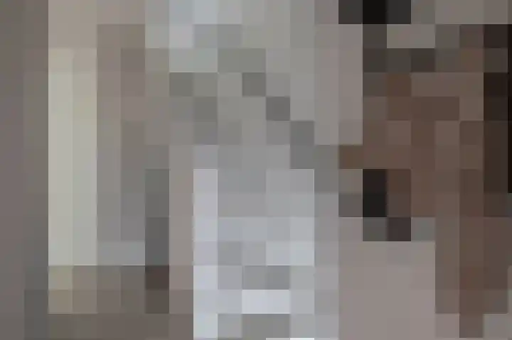 Voorzoom 15 Moerkapelle thumbnail 19