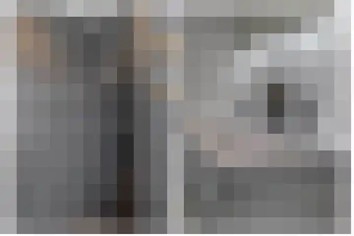 Voorzoom 15 Moerkapelle thumbnail 26