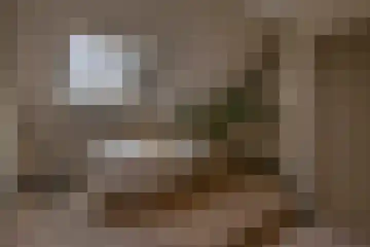 Voorzoom 15 Moerkapelle thumbnail 30
