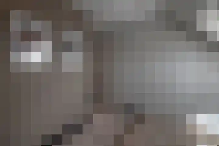Voorzoom 15 Moerkapelle thumbnail 31