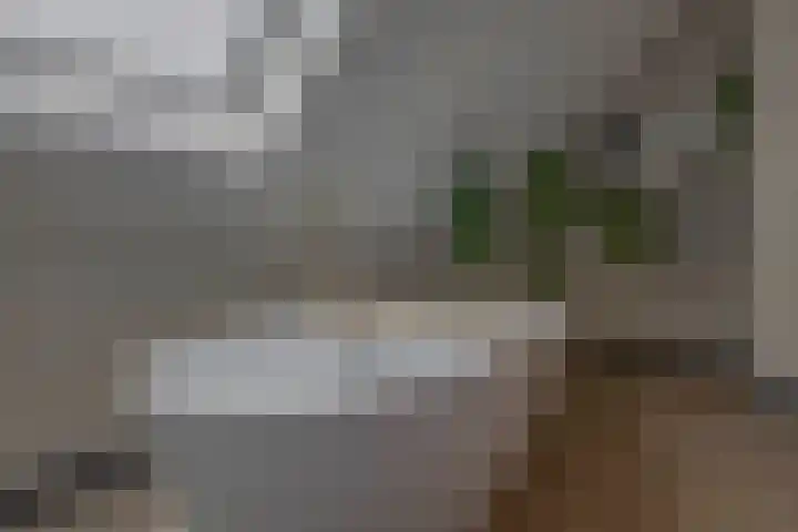 Voorzoom 15 Moerkapelle thumbnail 32