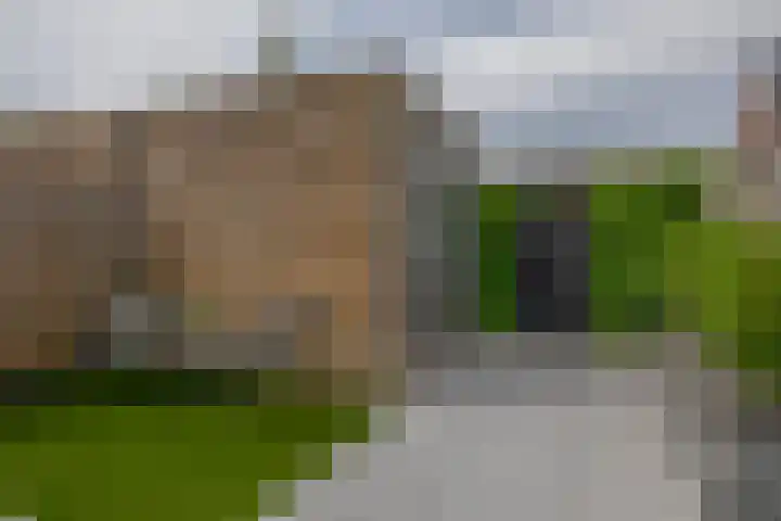 Voorzoom 15 Moerkapelle thumbnail 38