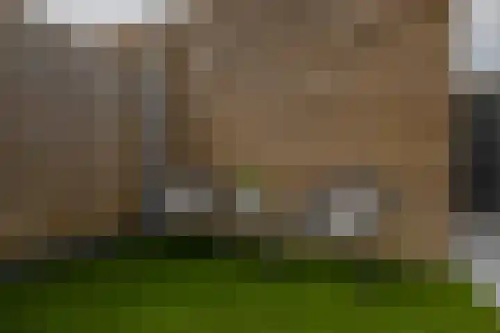 Voorzoom 15 Moerkapelle thumbnail 39
