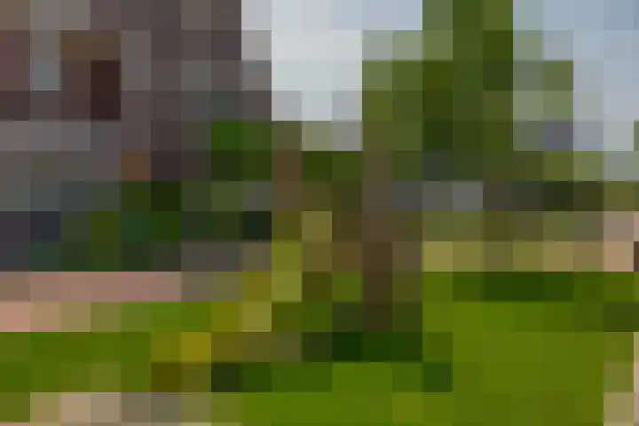 Voorzoom 15 Moerkapelle thumbnail 41