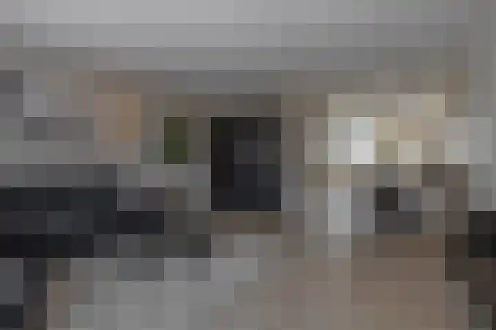 Voorzoom 15 Moerkapelle thumbnail 9