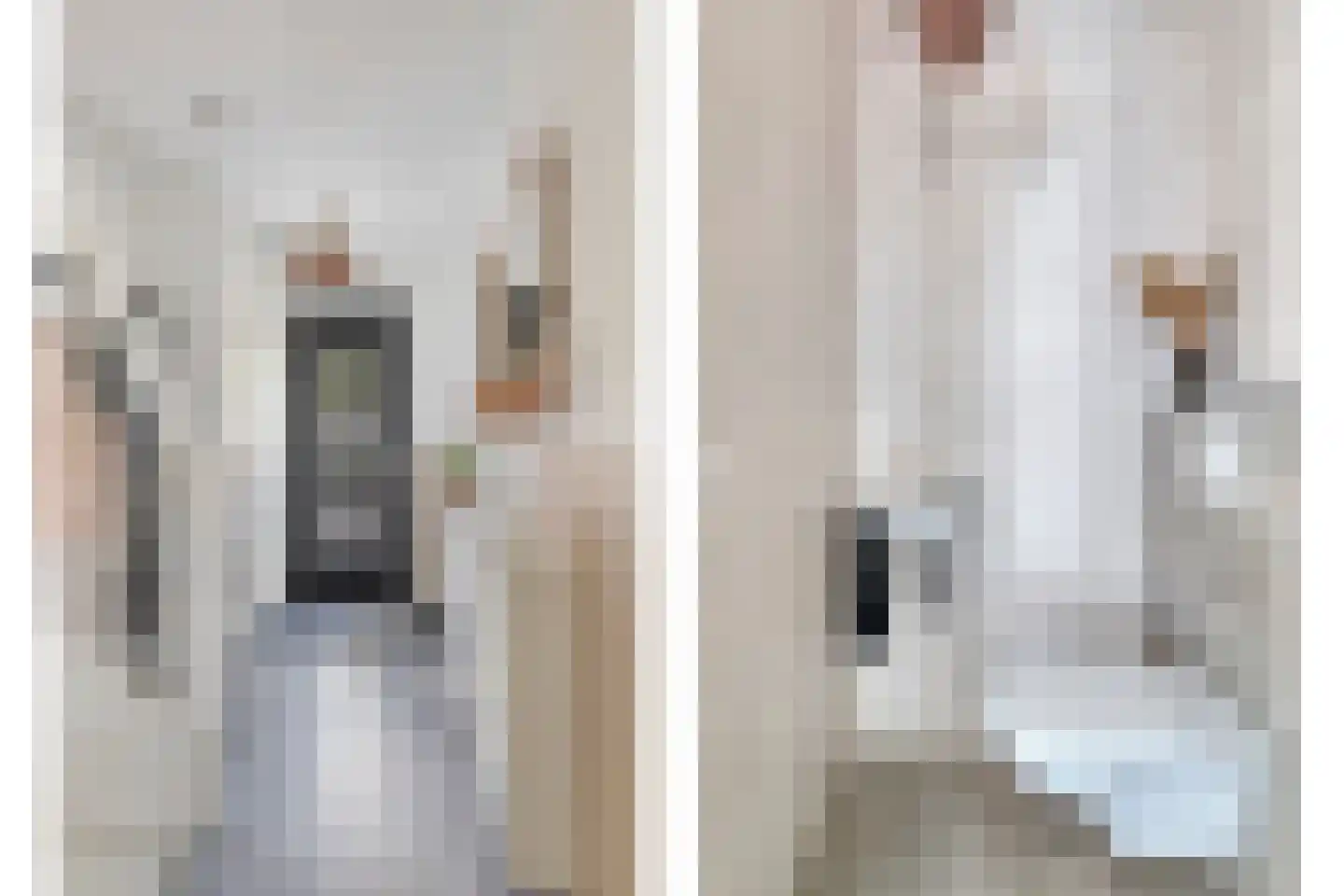 Voorzoom 18 Moerkapelle thumbnail 8