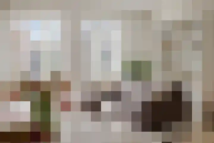 Voorzoom 31 Moerkapelle thumbnail 11