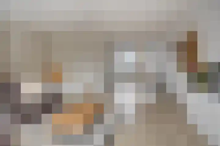Voorzoom 31 Moerkapelle thumbnail 12