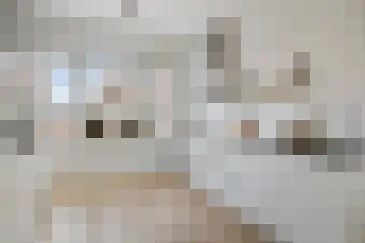 Voorzoom 31 Moerkapelle thumbnail 14