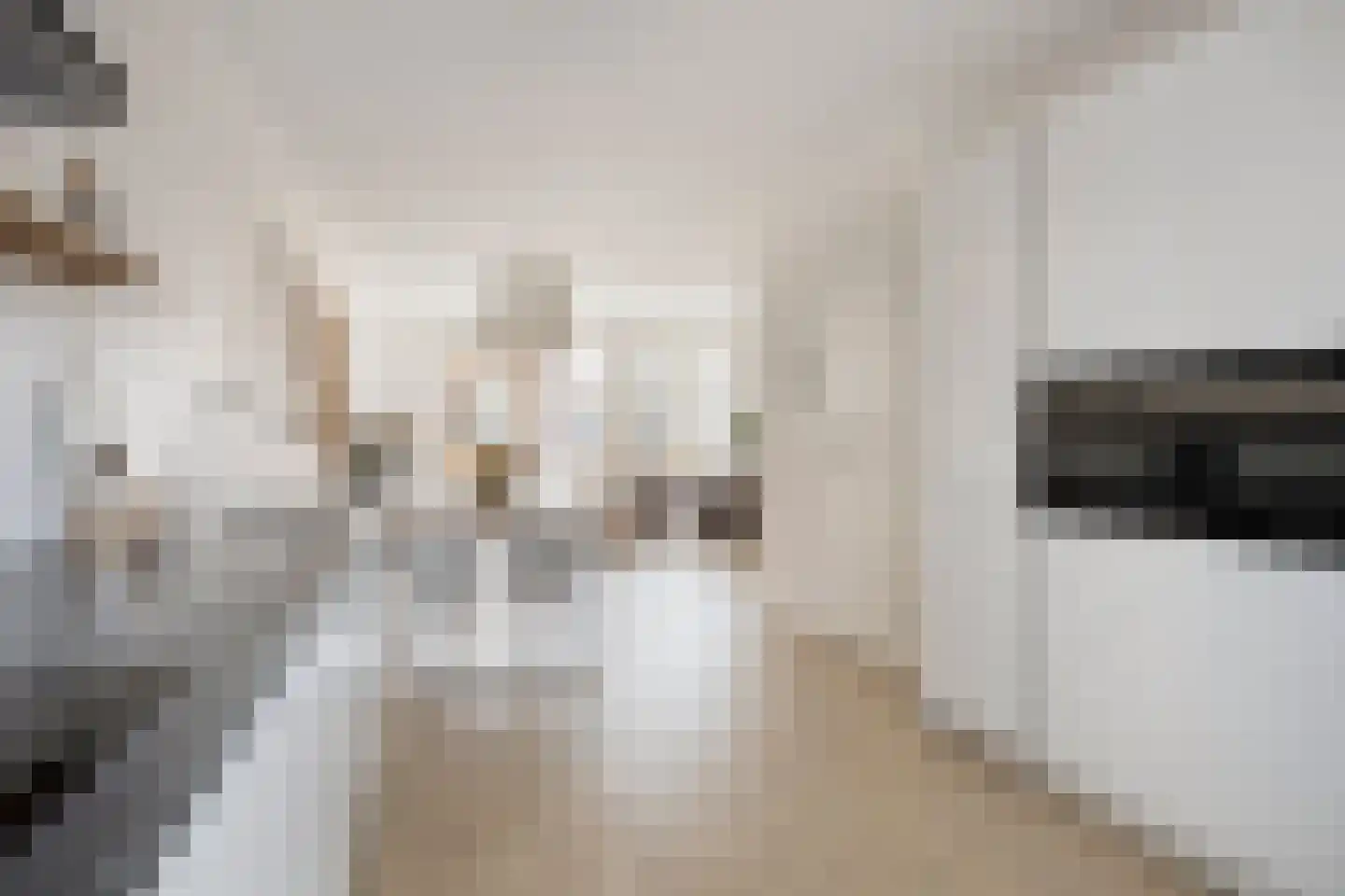 Voorzoom 31 Moerkapelle thumbnail 18