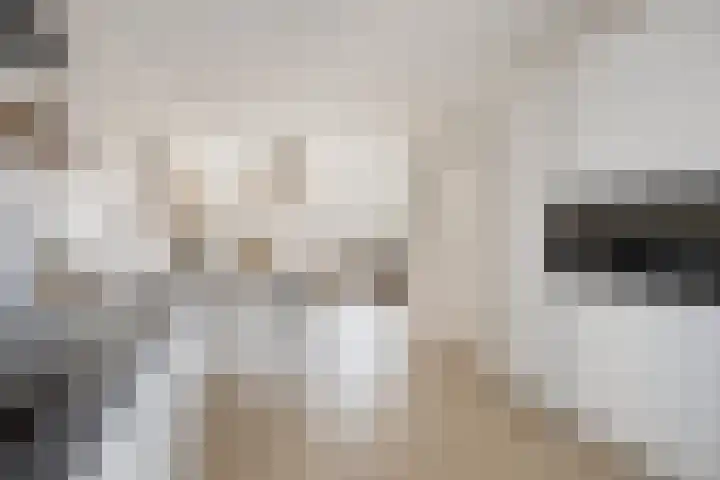 Voorzoom 31 Moerkapelle thumbnail 18
