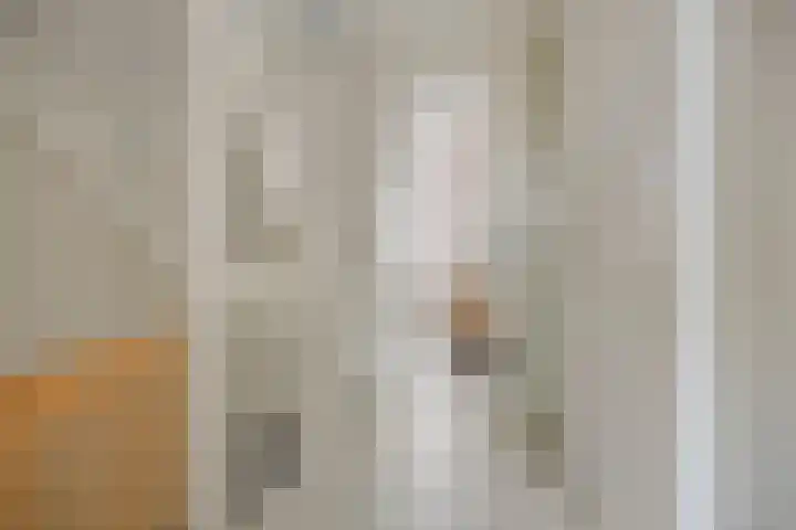 Voorzoom 31 Moerkapelle thumbnail 19