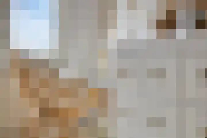 Voorzoom 31 Moerkapelle thumbnail 24