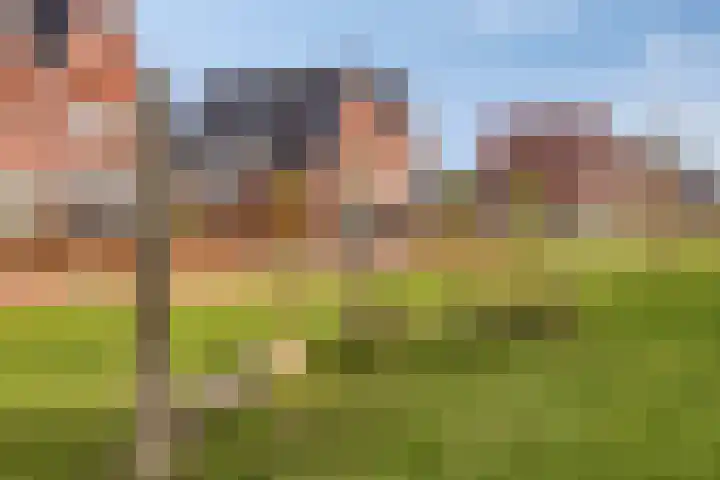 Voorzoom 31 Moerkapelle thumbnail 37