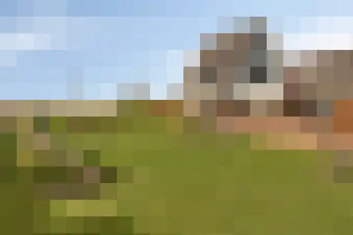 Voorzoom 31 Moerkapelle thumbnail 38