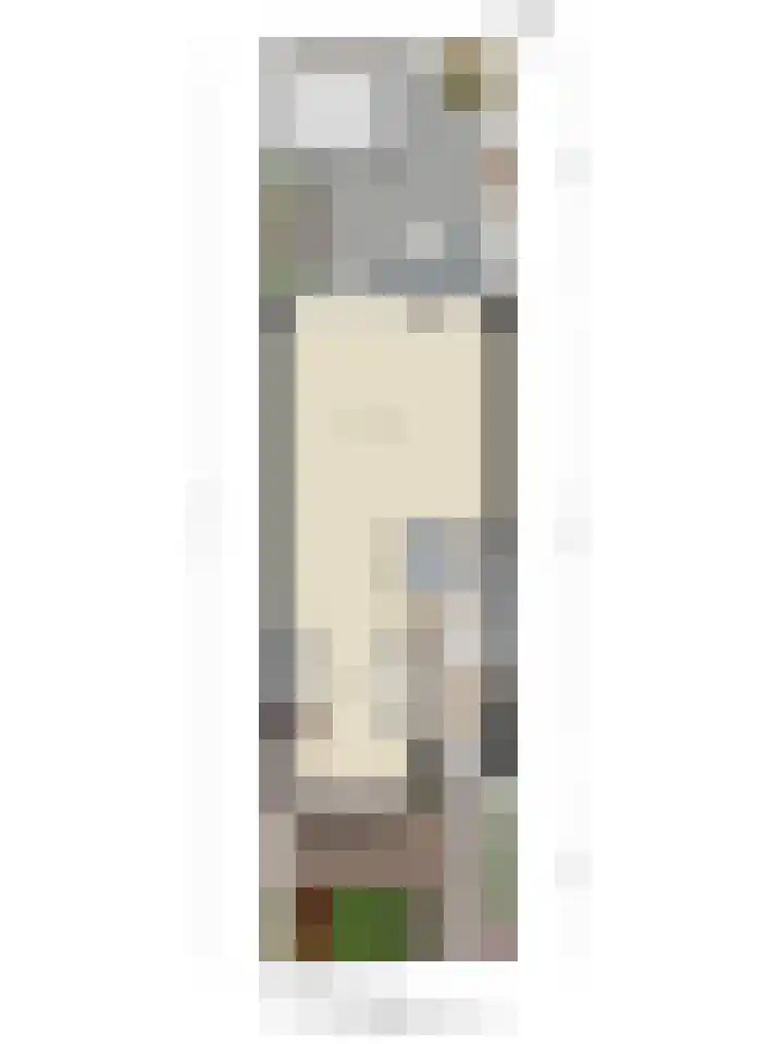 Voorzoom 31 Moerkapelle thumbnail 39