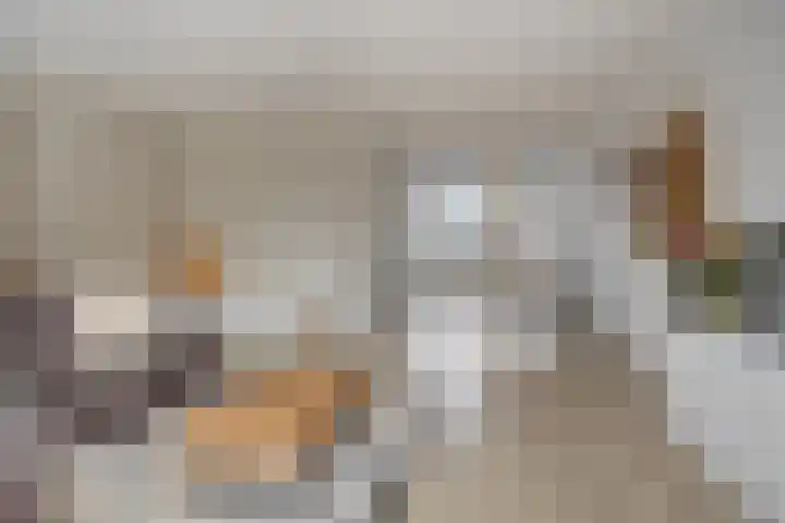 Voorzoom 31 Moerkapelle thumbnail 4