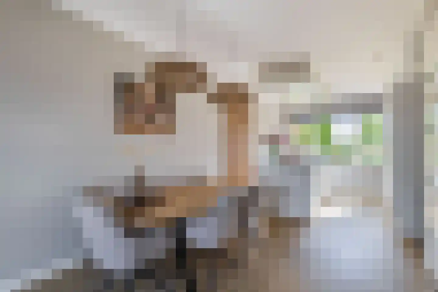 Voorzoom 33 Moerkapelle thumbnail 12