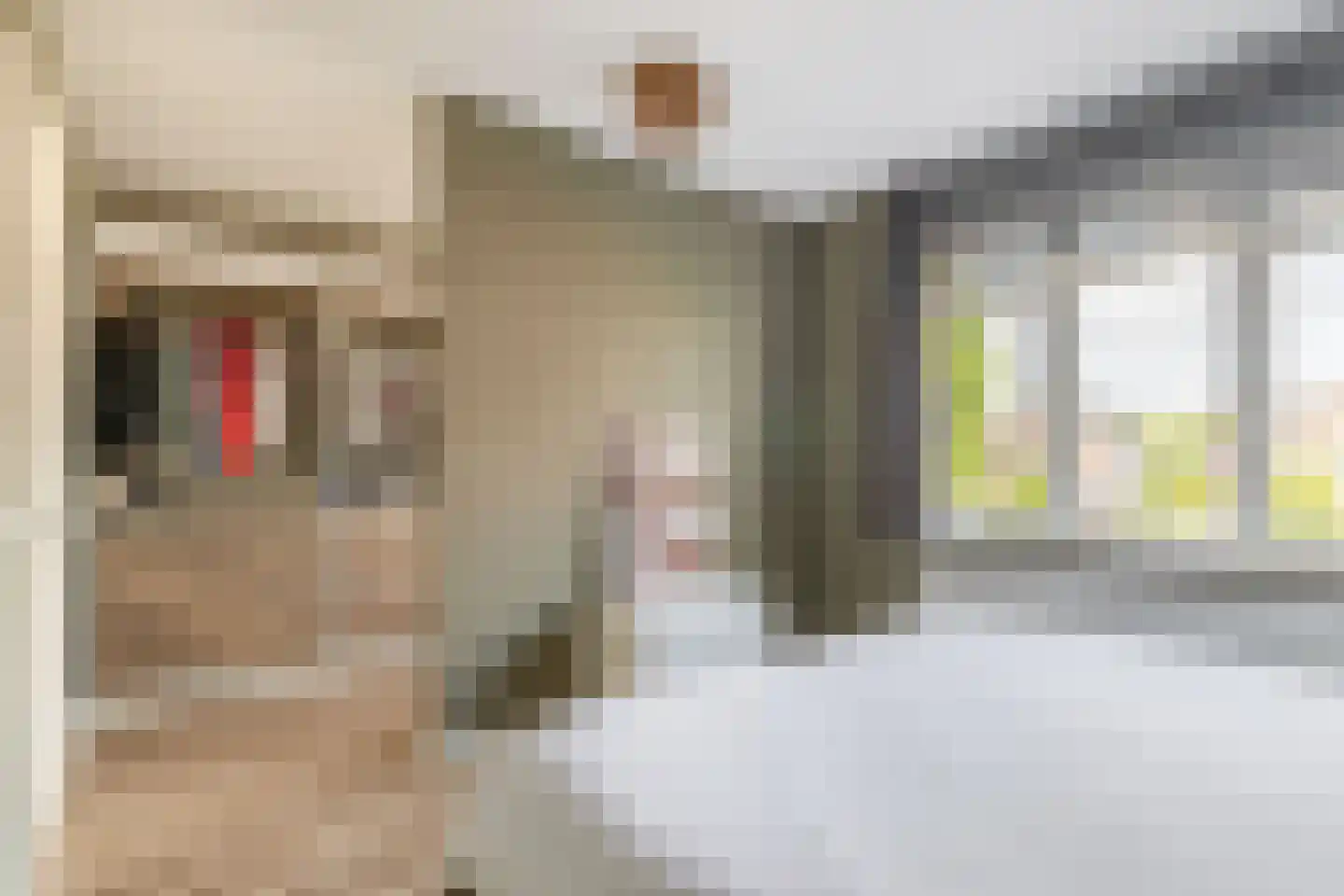 Voorzoom 33 Moerkapelle thumbnail 19