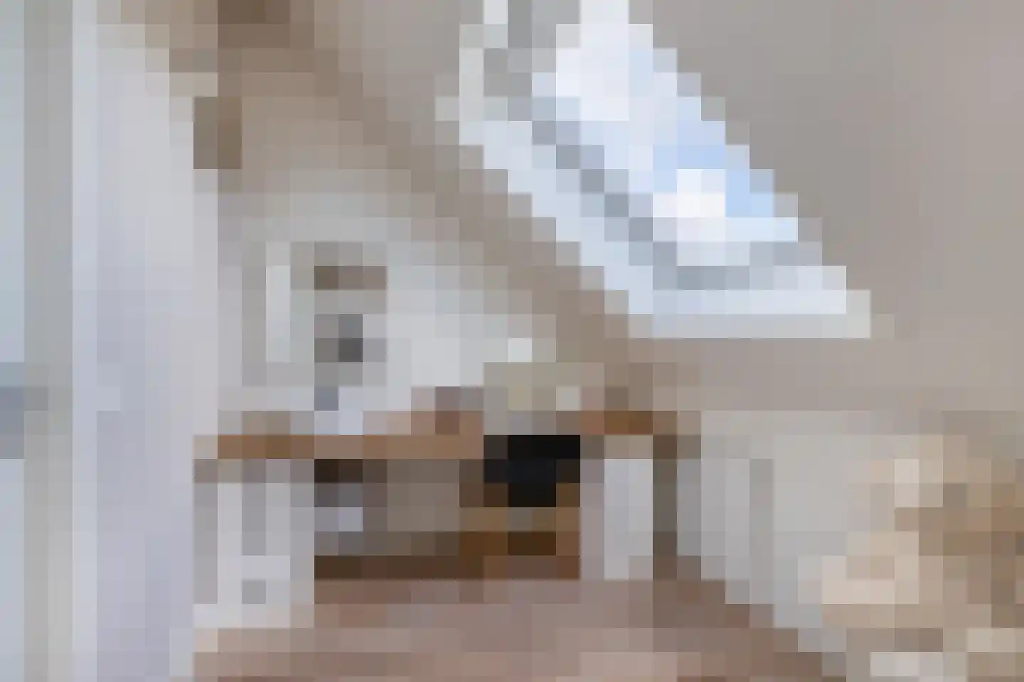 Voorzoom 33 Moerkapelle thumbnail 31
