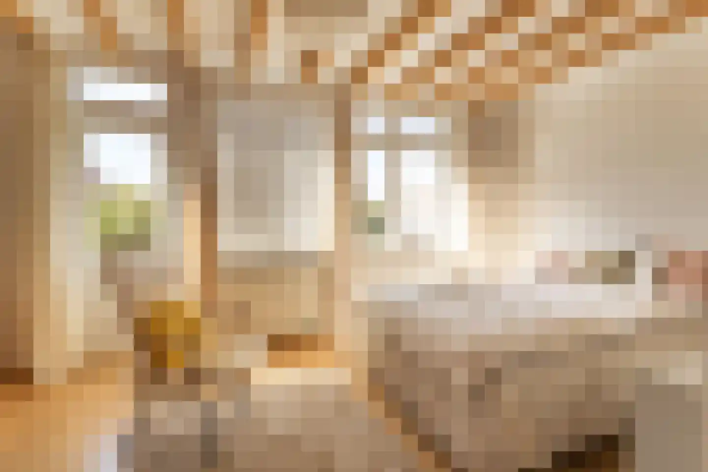 Voorzorgstraat 12 Haarlem thumbnail 23