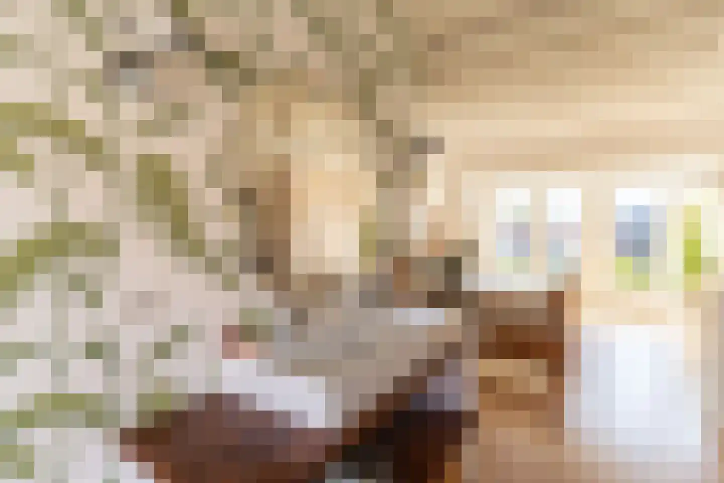 Voorzorgstraat 12 Haarlem thumbnail 35