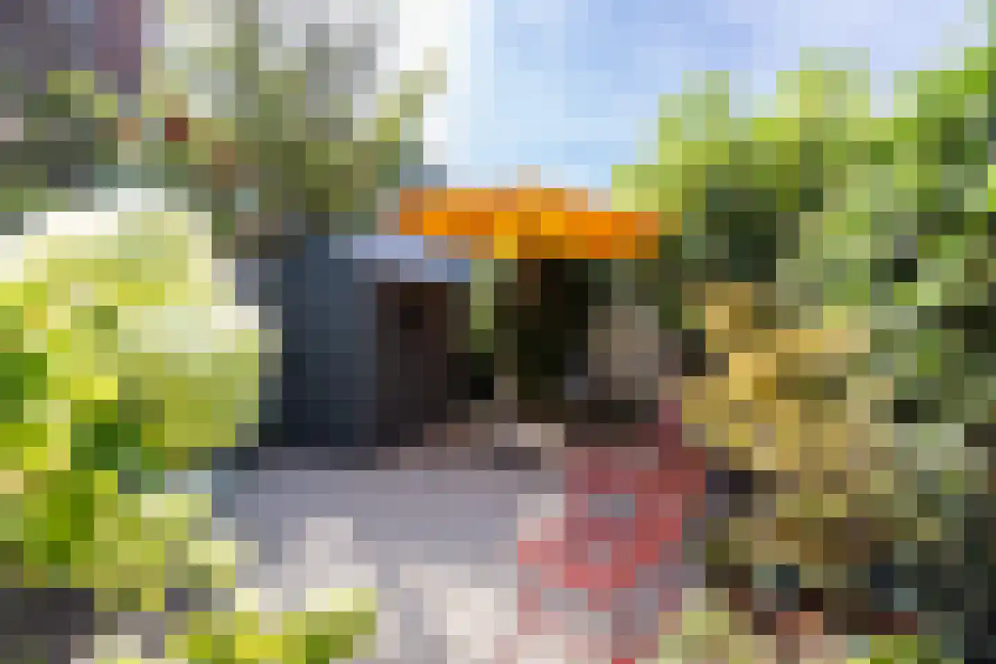Voorzorgstraat 12 Haarlem thumbnail 39