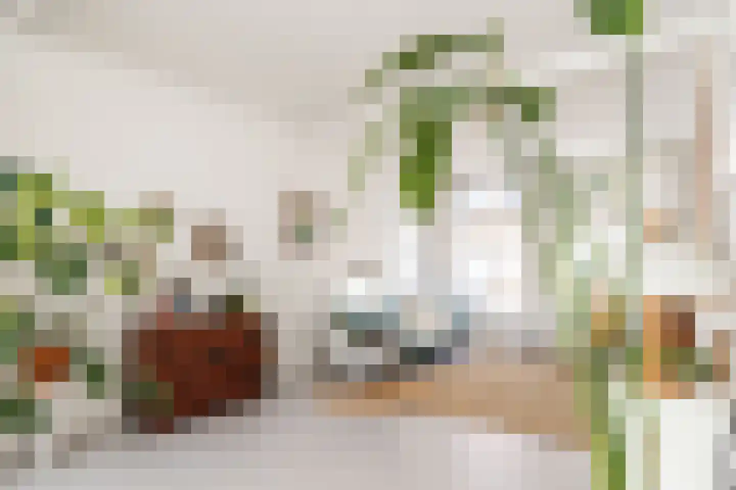 Voorzorgstraat 12 Haarlem thumbnail 5