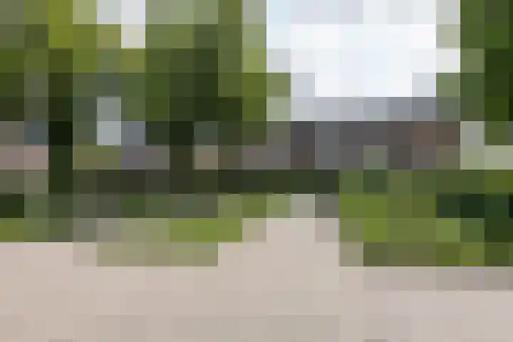 Voorzorgstraat 5 A ZW Haarlem thumbnail 23
