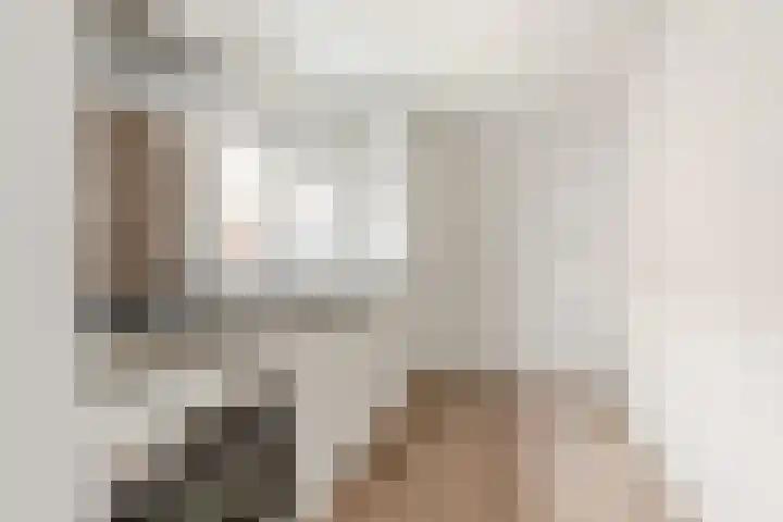 Voorzorgstraat 62 Haarlem thumbnail 11