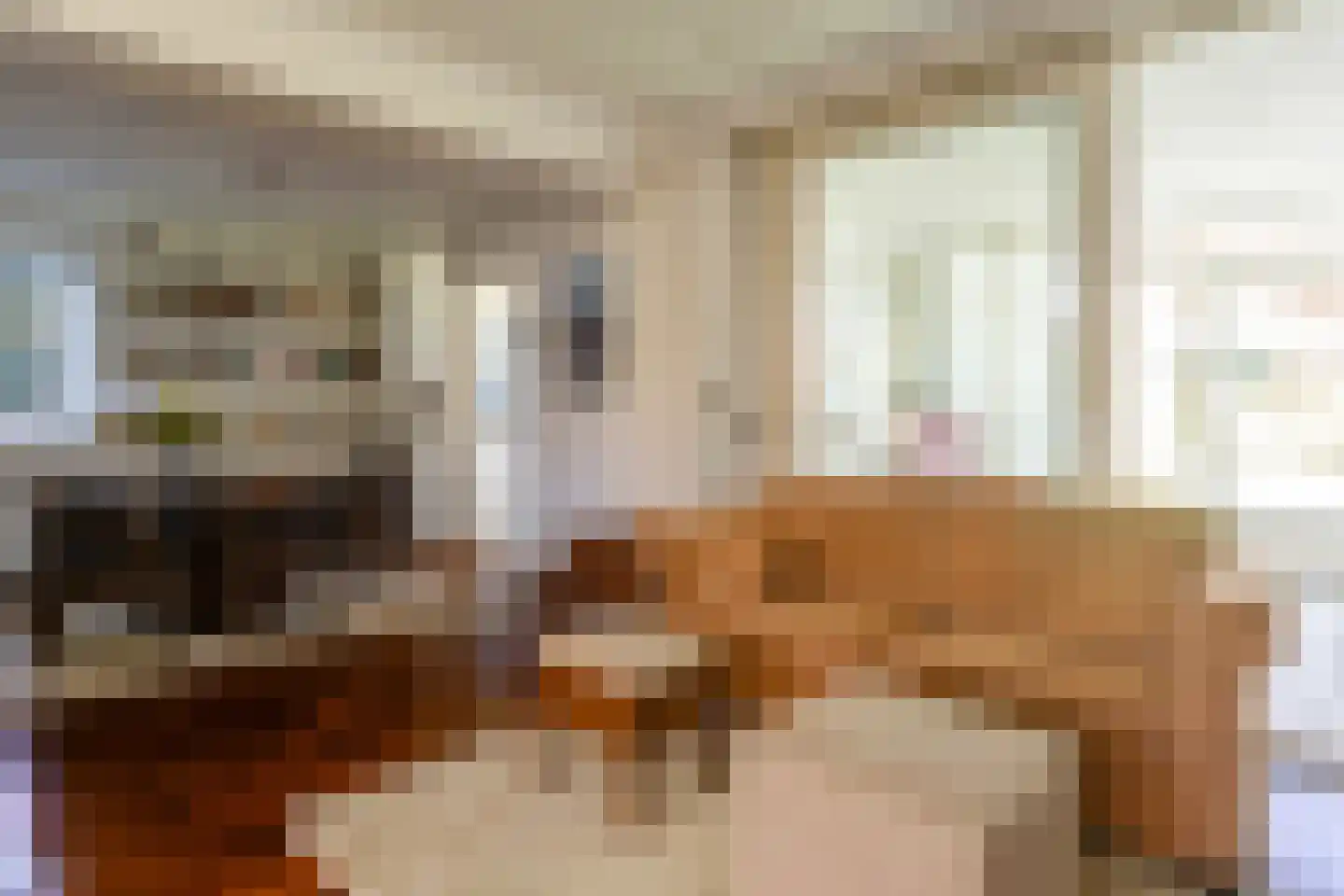 Vooskerbos 24 Moergestel thumbnail 12